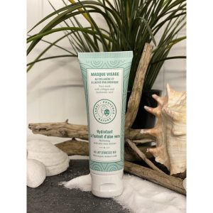 masque visage hydratant au lait d anesse bio et a l aloe vera